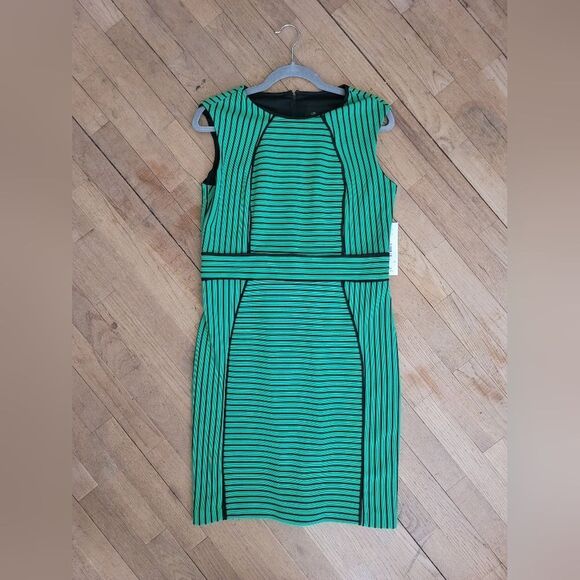 NWT - Peach Velvet Black and Green Striped Dress, Size‎ 10 - Picture 3 of 7